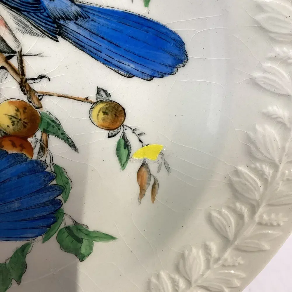 Adams England Audubon Birds of America Florida Jay Collector Plate